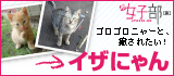 �ɂ�񂱌���